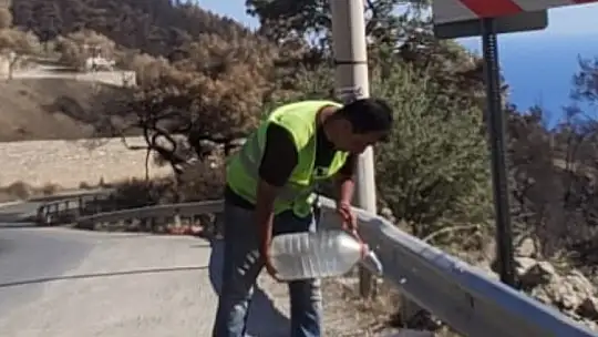 Marmaris ve Datça'da yangından etkilenen hayvanlara yem ve su desteği