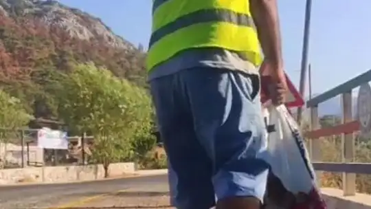 Marmaris ve Datça'da yangından etkilenen hayvanlara yem ve su desteği