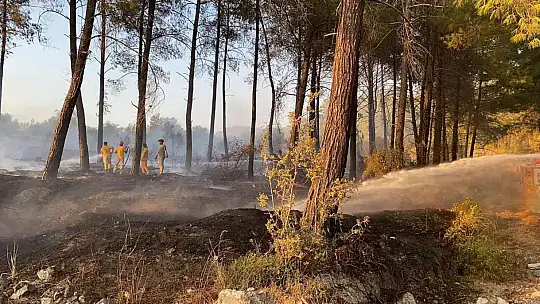 MAYTAP İLE ORMANI YAKTILAR