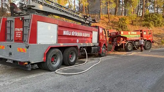 MAYTAP İLE ORMANI YAKTILAR