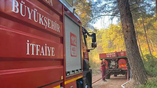 MAYTAP İLE ORMANI YAKTILAR