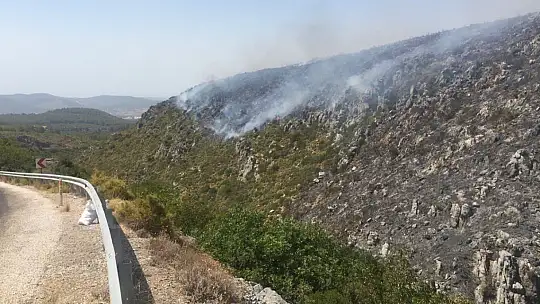 Mazı Mahallesi yolundaki dağlık alan yeniden alev aldı