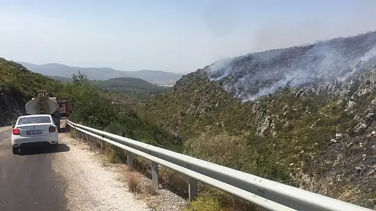 Mazı Mahallesi yolundaki dağlık alan yeniden alev aldı