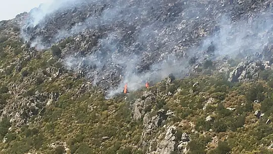 Mazı Mahallesi yolundaki dağlık alan yeniden alev aldı