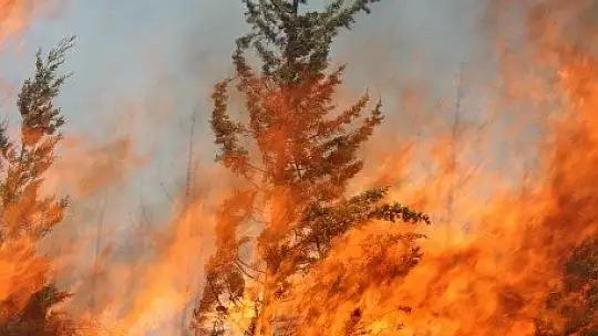 Mazı yolunda tekrar alevler yükseldi