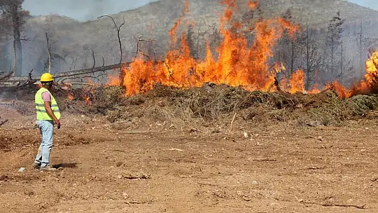 Mazı yolunda tekrar alevler yükseldi