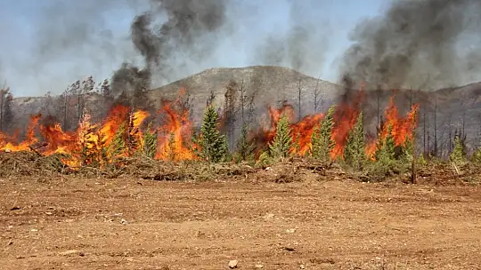 Mazı yolunda tekrar alevler yükseldi