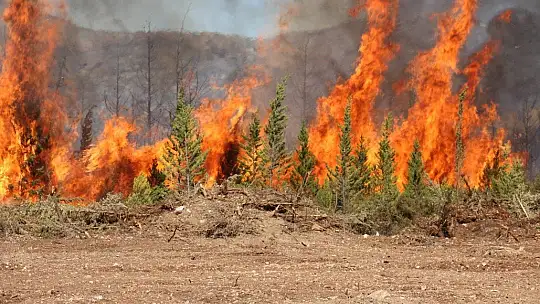 Mazı yolunda tekrar alevler yükseldi