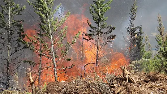 Mazı yolunda tekrar alevler yükseldi