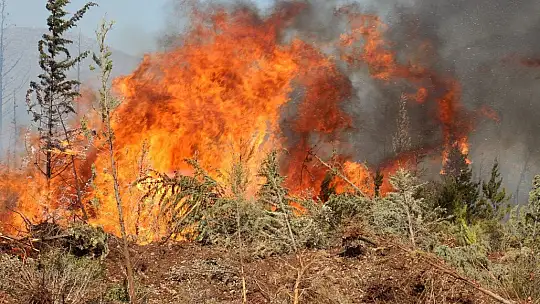 Mazı yolunda tekrar alevler yükseldi