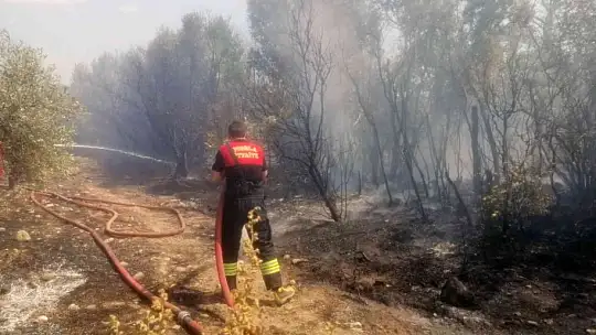Menteşe'de arazi yangını