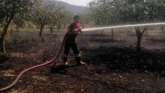 Menteşe'de arazi yangını
