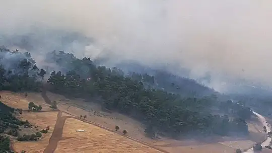 Menteşe'de havadan-karadan müdahale devam ediyor