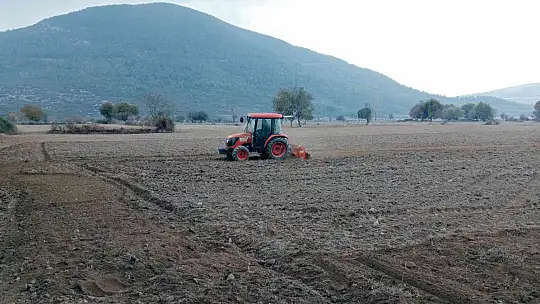MENTEŞE'DE KARAKILÇIK ATA TOHUMU TOPRAKLA BULUŞTU