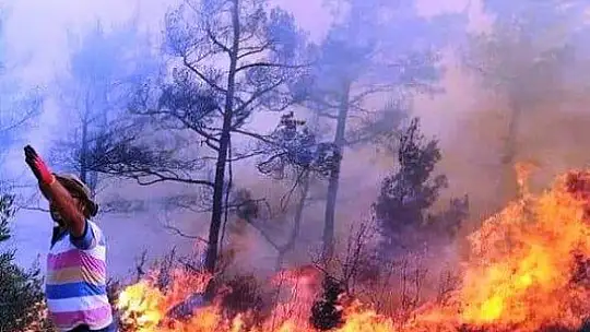 Menteşe'de orman yangını