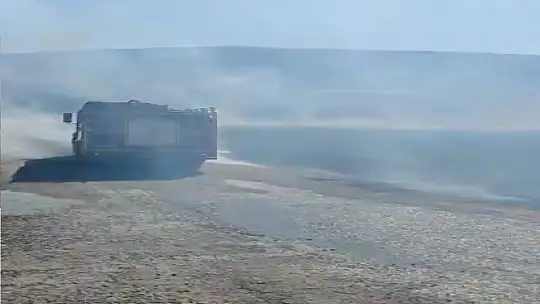 Menteşe'de ot yangını