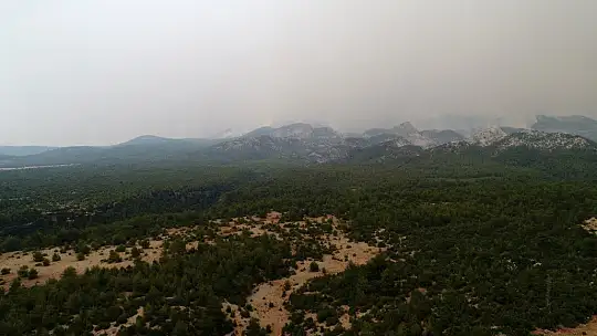 Menteşe'de yangın söndürme çalışmaları devam ediyor