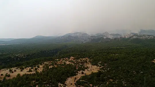 Menteşe'de yangın söndürme çalışmaları devam ediyor