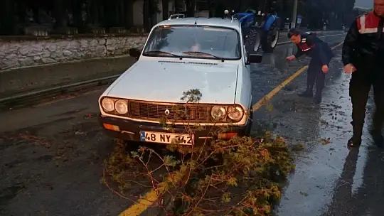 Menteşe'ye 24 saatte 94.3 kg yağış düştü