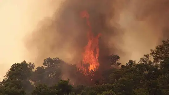 Meteoroloji'den Muğla'ya orman yangını uyarısı