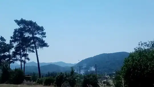 Metruk binada çıkan yangın ormana sıçramadan söndürüldü