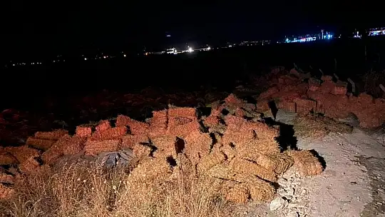 Milas'ta 1300 adet saman balyası zarar gördü