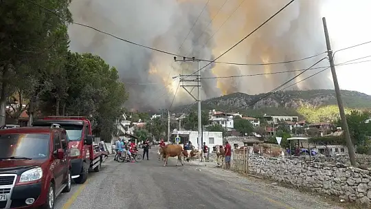 Milas'ta alevler yerleşim bölgesine ulaştı, Gökbel köyü boşaltıldı