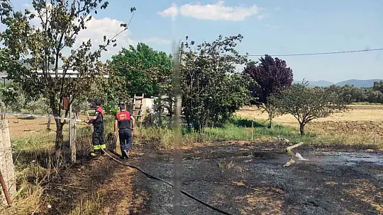 Milas'ta arazi yangını