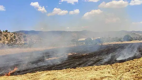 Milas'ta arazi yangını