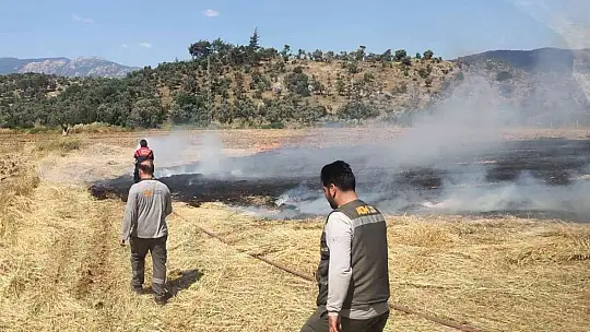 Milas'ta arazi yangını