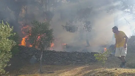 Milas'ta başlayan orman yangını Bodrum'a sıçradı, söndürme çalışmaları devam ediyor