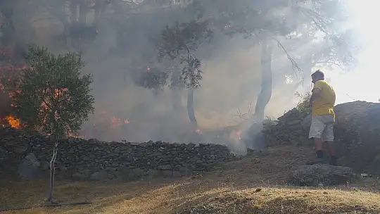 Milas'ta başlayan orman yangını Bodrum'a sıçradı, söndürme çalışmaları devam ediyor