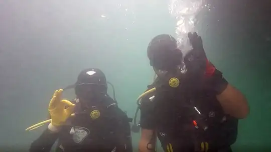 Milas'ta denizden çıkanlar şaşırttı