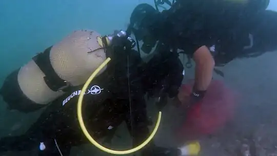 Milas'ta denizden çıkanlar şaşırttı