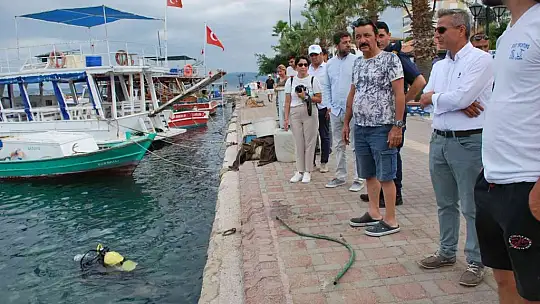 Milas'ta denizden çıkanlar şaşırttı