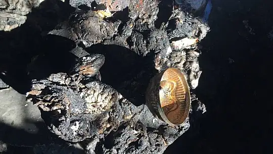 Milas'ta kundaklanan kulüp binası önünde açıklama yapıldı