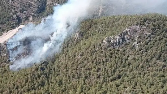 Milas'ta orman yangını