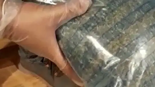 MİLAS'TA UYUŞTURUCU OPERASYONU