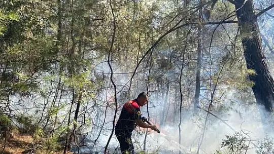 Milas'ta yangına havadan ve karadan müdahale devam ediyor