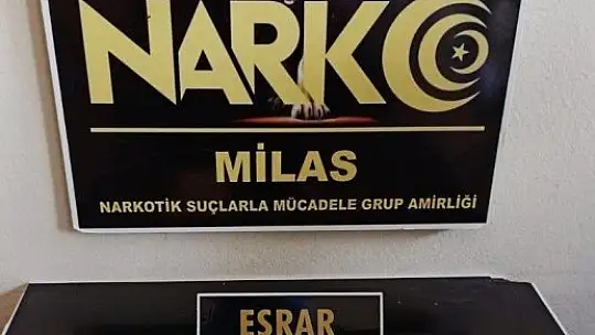 Milas ve Fethiye'de uyuşturucu operasyonu