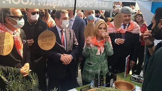 Milas Zeytin Hasat Şenliği başladı