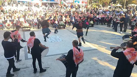 Milas Zeytin Hasat Şenliği başladı