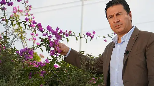 Milyonlarca turist Bodrum'u artık seyir terasından izleyecek