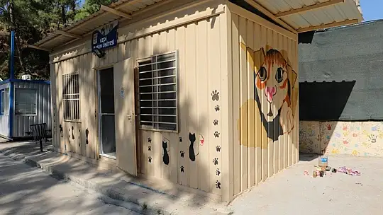 Minik ressamlar bakım evini rengarenk yaptı