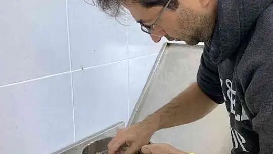 MSKÜ, Mersin Balığından havyar üretiyor