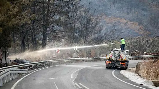 YANAN YERLER TEKRARDAN YEŞİLLENDİRİLECEK