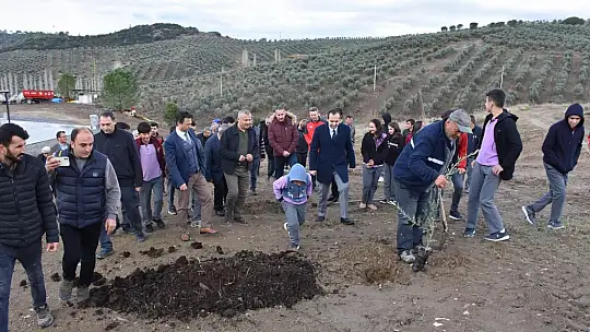 MUĞLA'DA 'DÜNYA ZEYTİN GÜNÜ' KUTLANDI