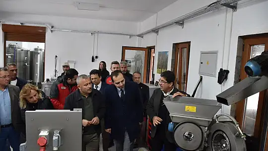 MUĞLA'DA 'DÜNYA ZEYTİN GÜNÜ' KUTLANDI