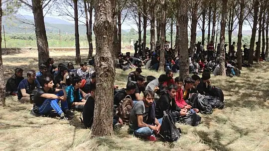 Muğla'da 237 düzensiz göçmen yakalandı