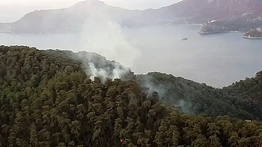 Muğla'da 3 günde 37 yıldırım yangını